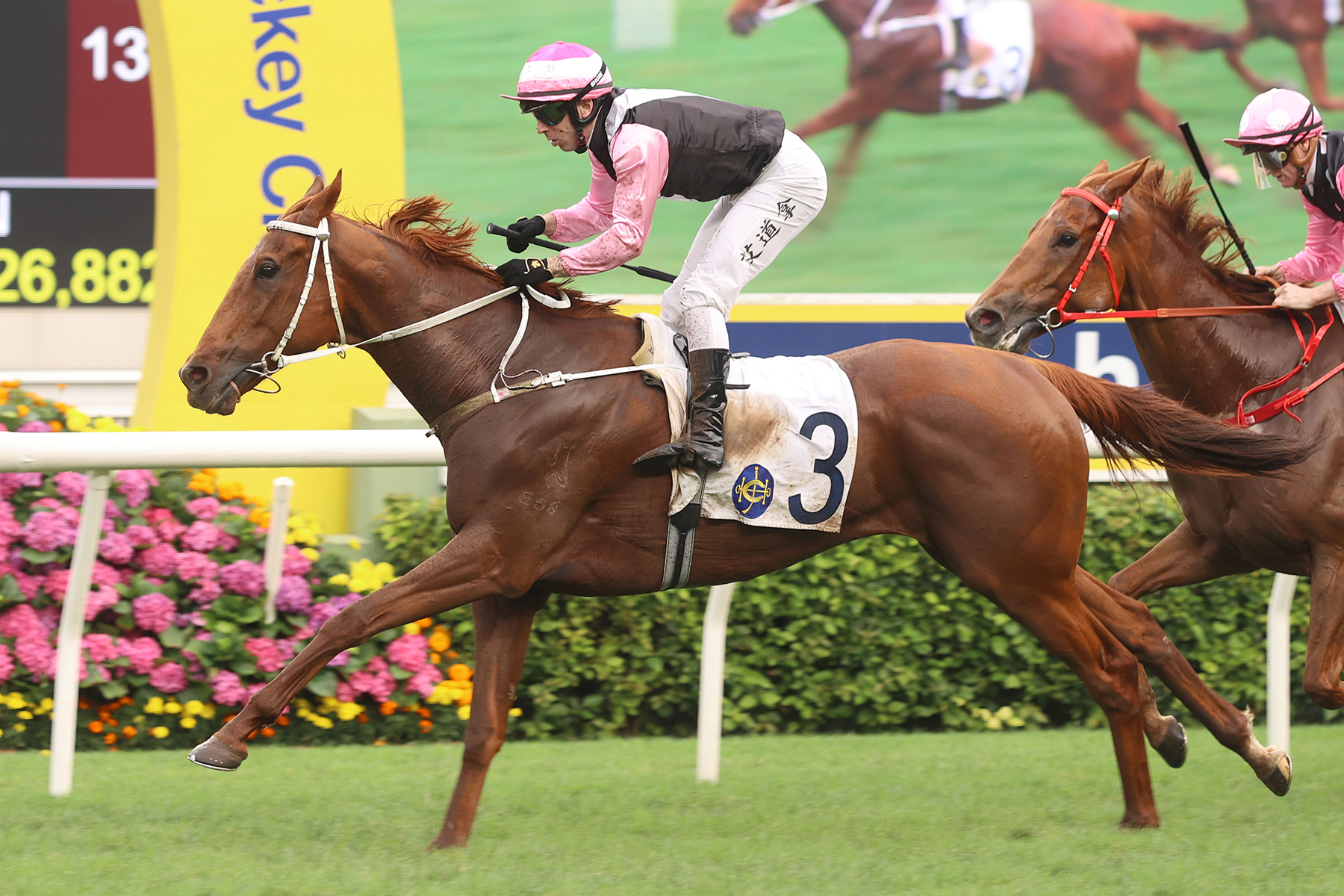 BEAUTY JOY BEAUTY JOY