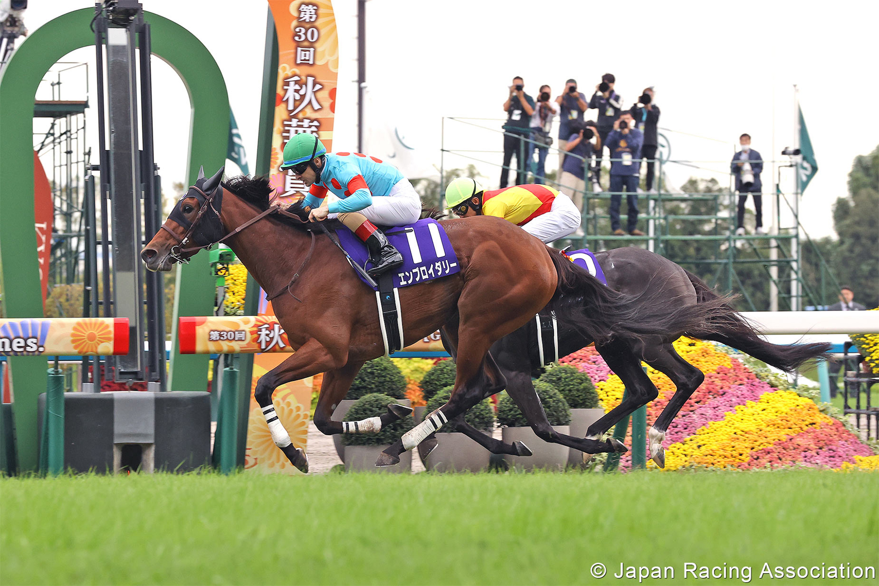 EMBROIDERY EMBROIDERY