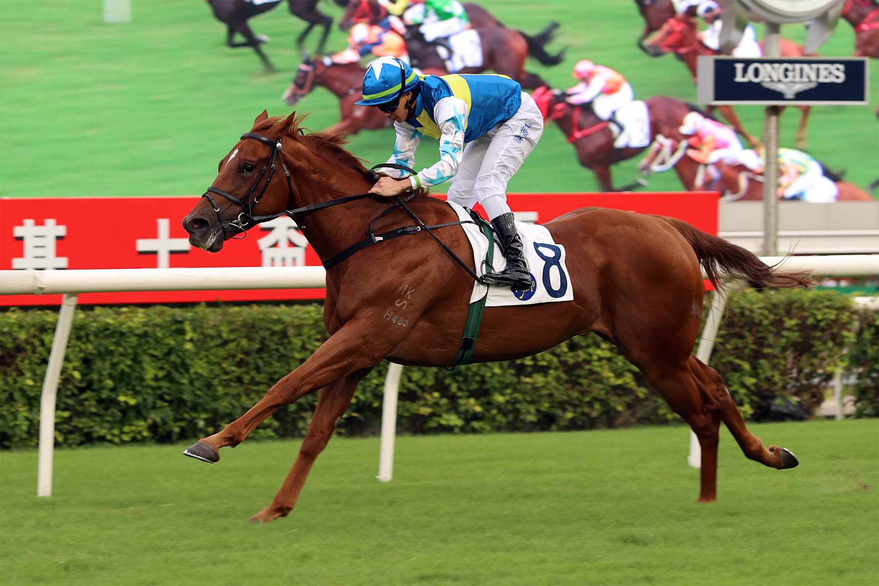 PATCH OF THETA PATCH OF THETA