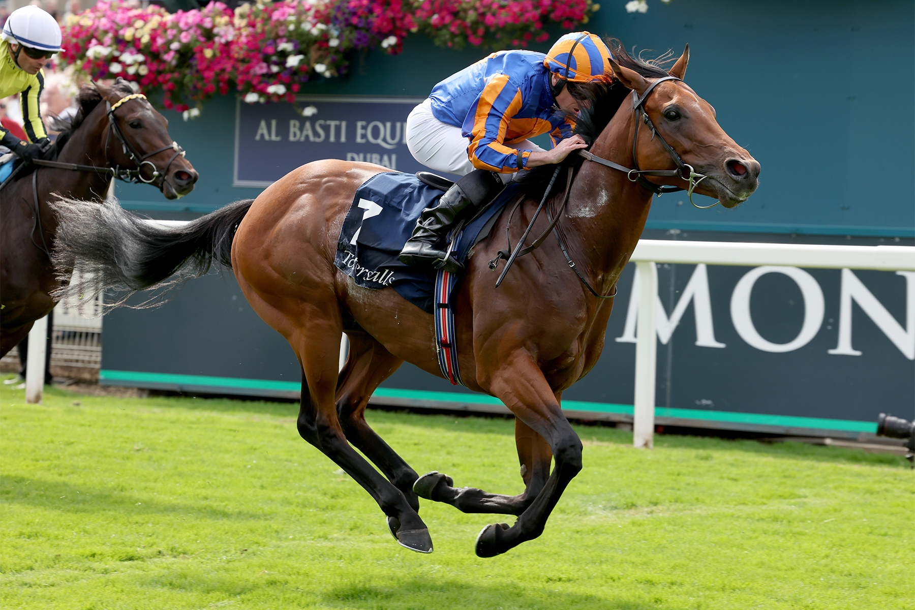 THE LION IN WINTER THE LION IN WINTER