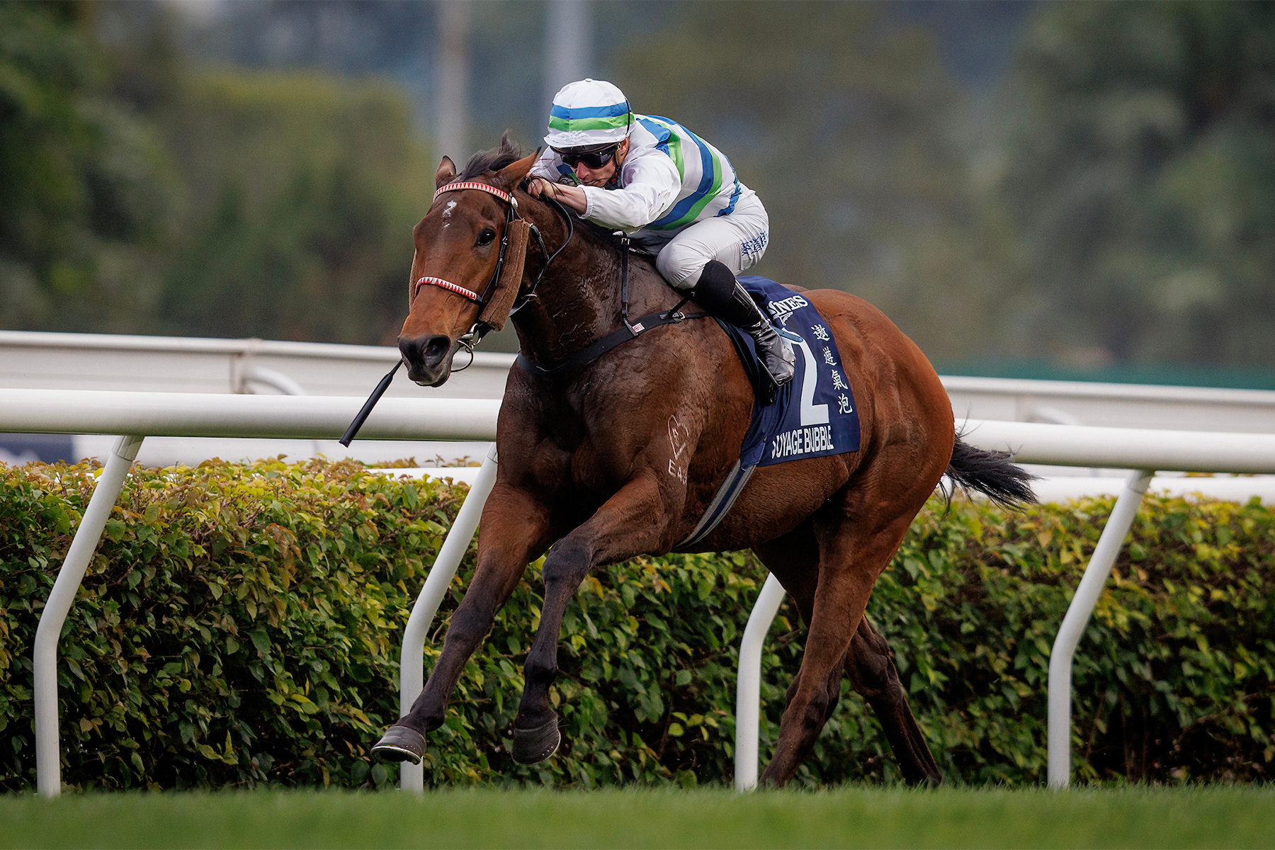 VOYAGE BUBBLE VOYAGE BUBBLE