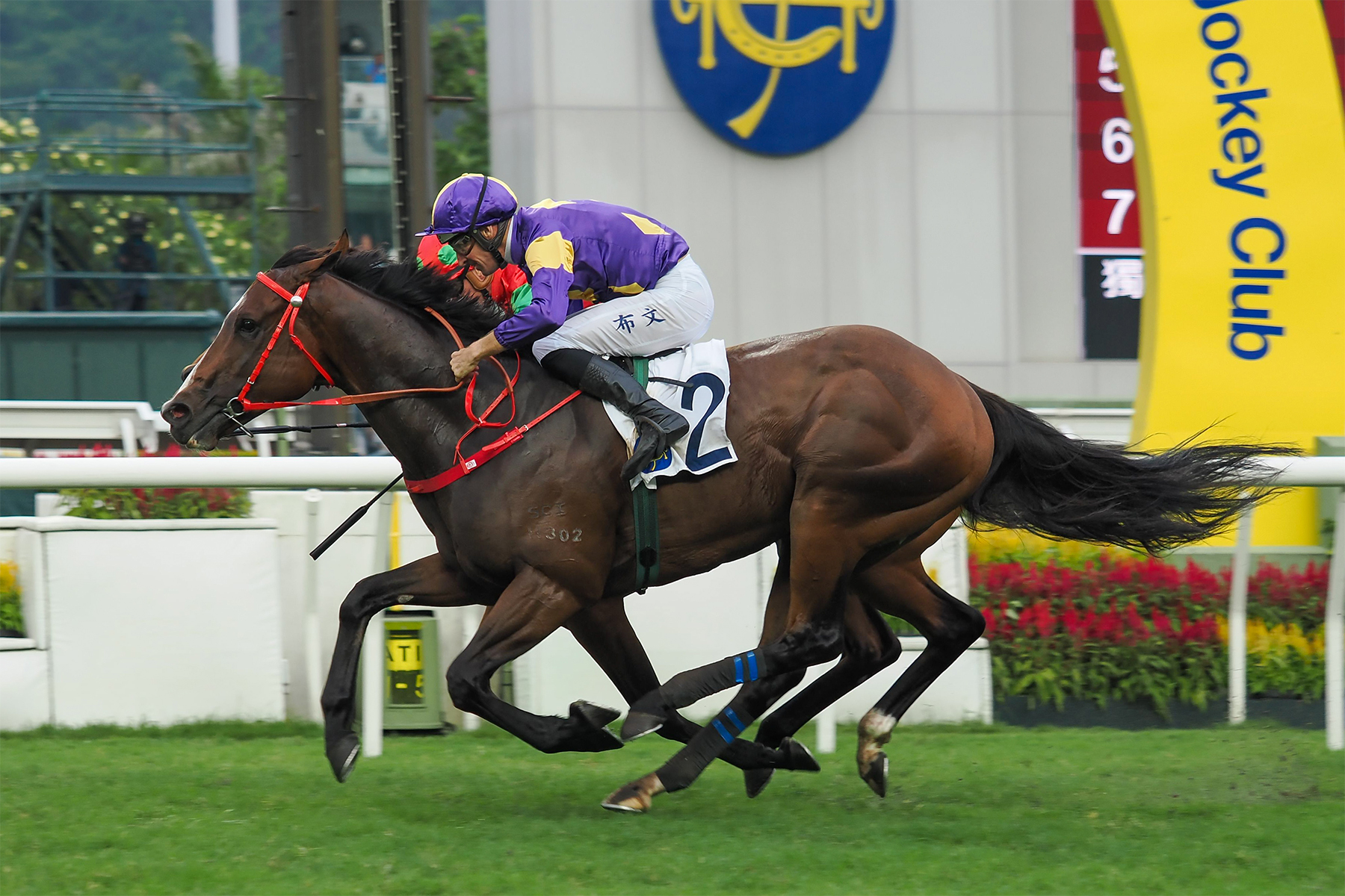 HELIOS EXPRESS HELIOS EXPRESS