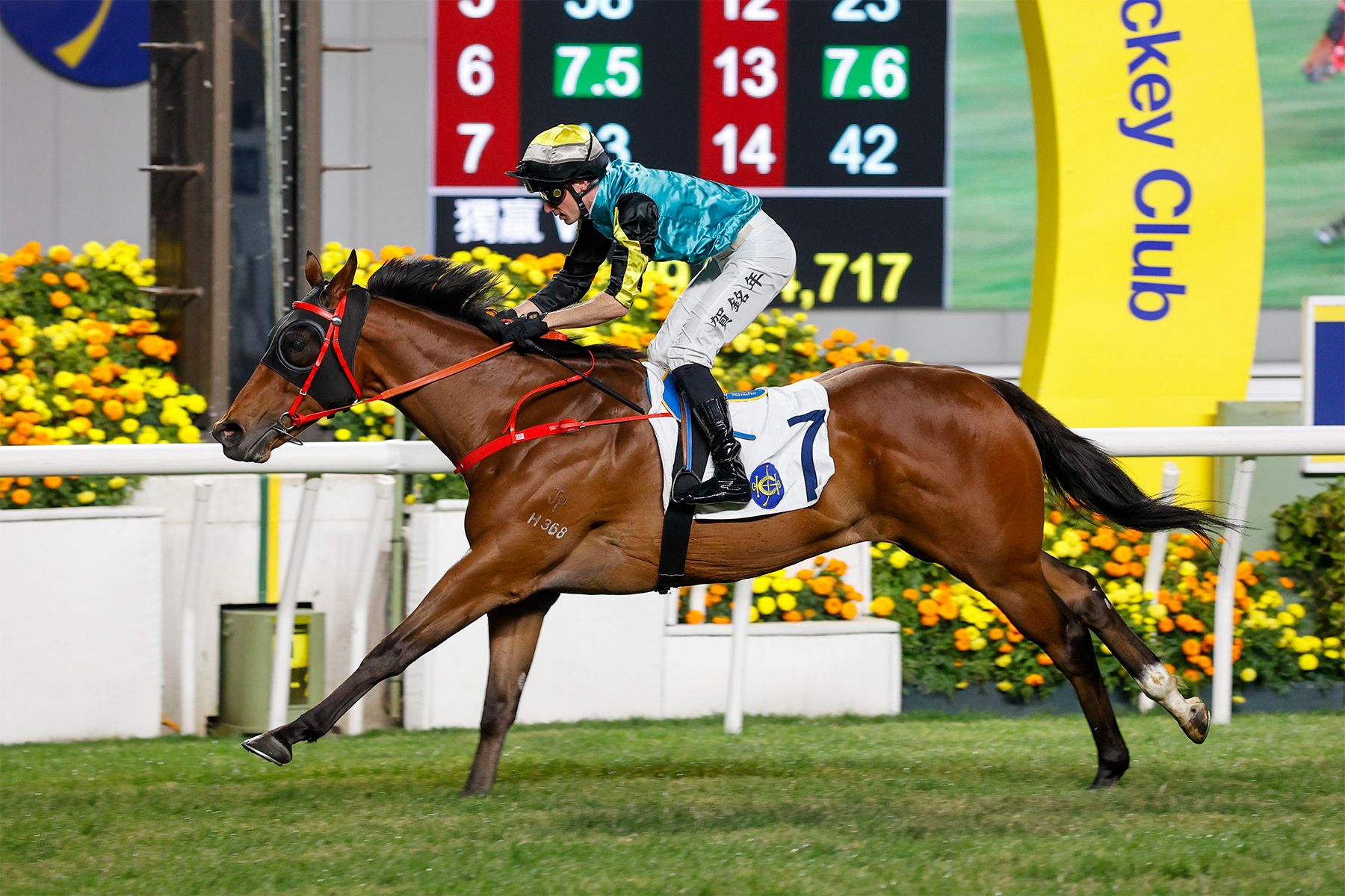 RAGING BLIZZARD RAGING BLIZZARD