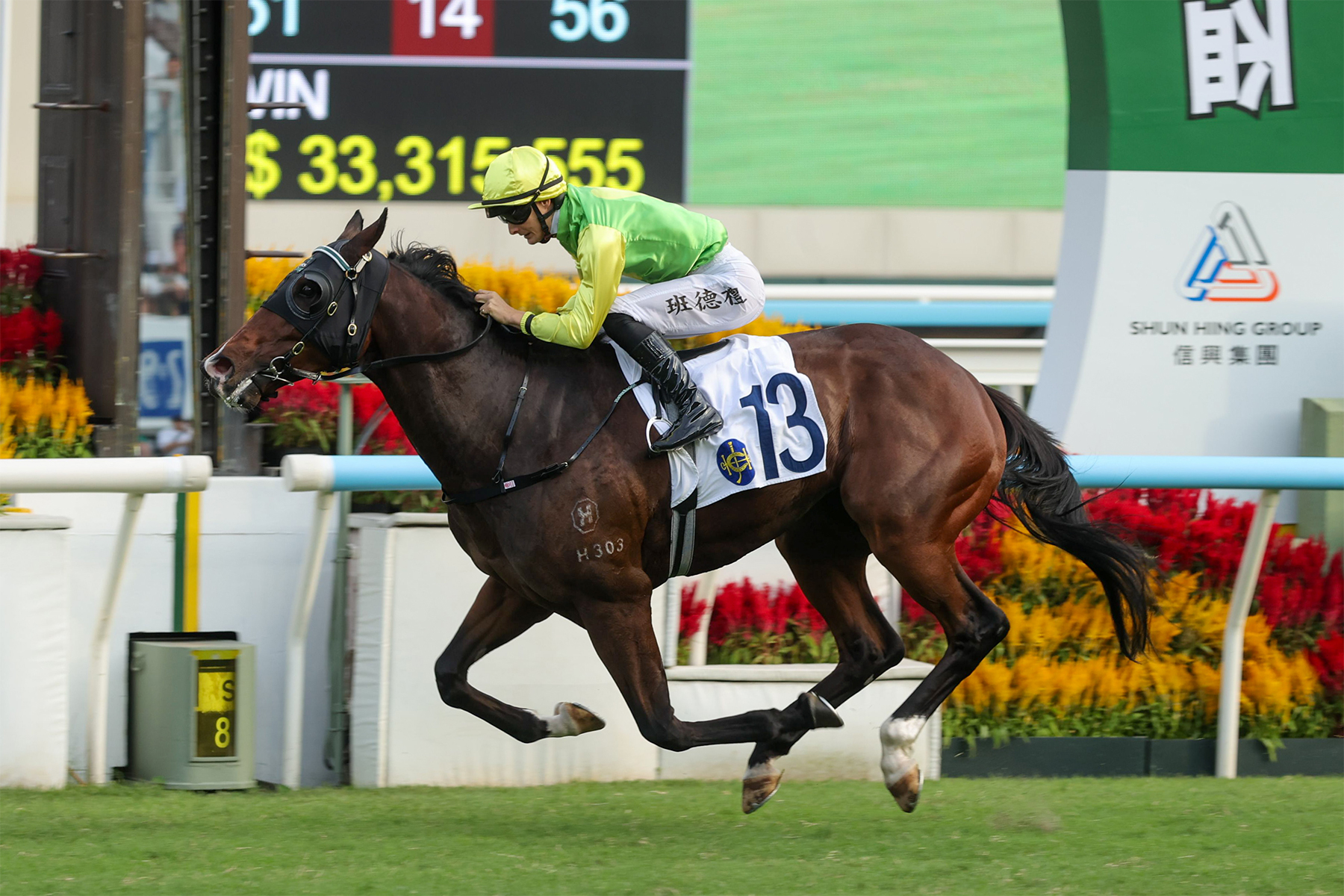 TOMODACHI KOKOROE TOMODACHI KOKOROE