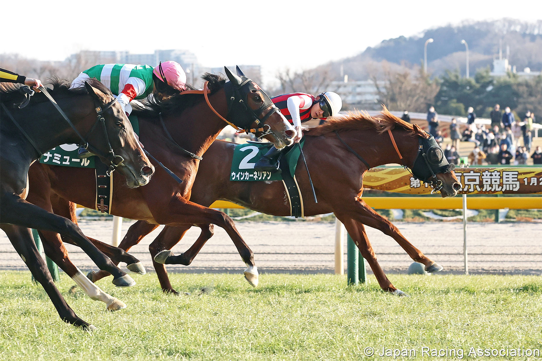 WIN CARNELIAN WIN CARNELIAN