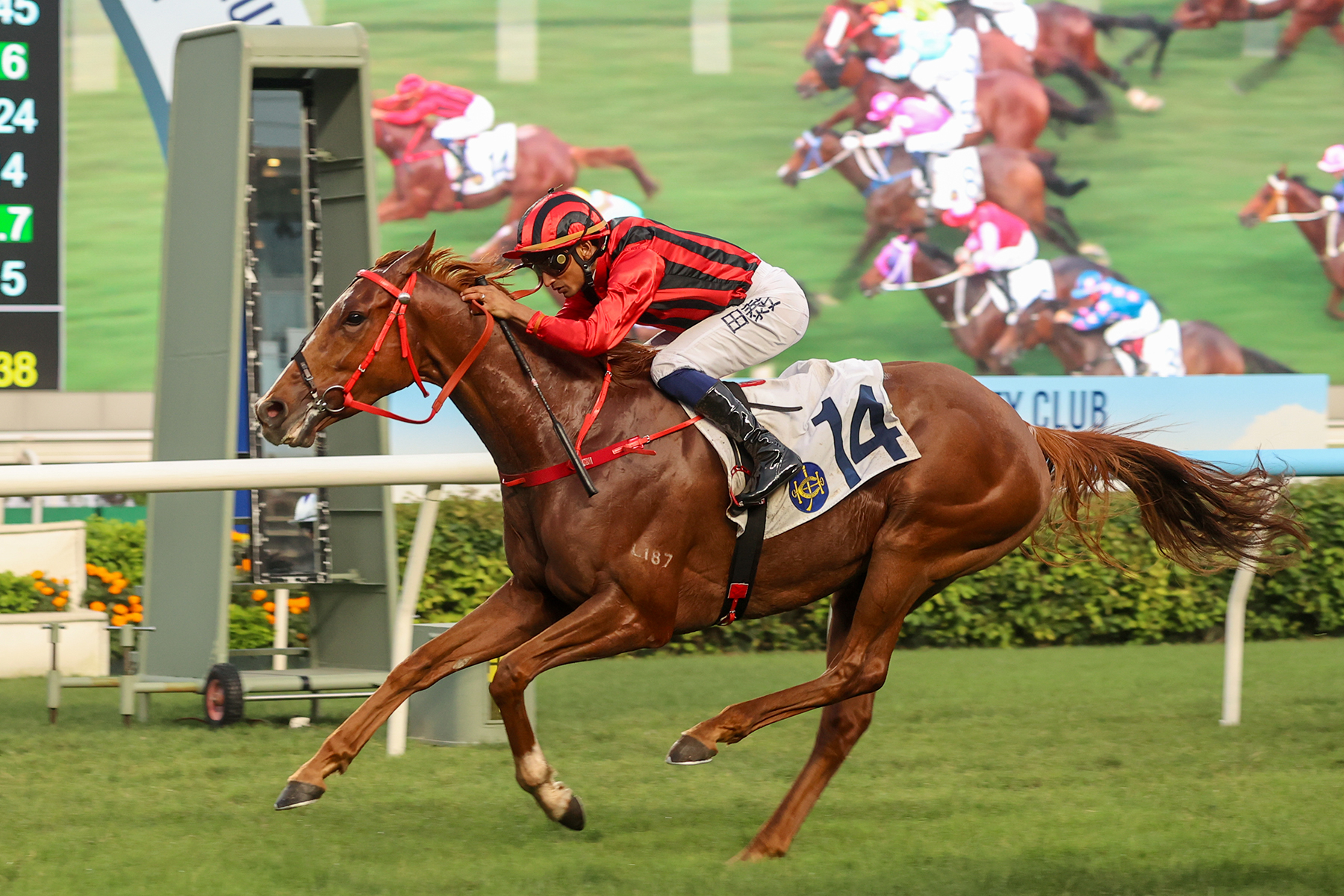 Nautical Force returns to 1800m in the G3 Premier Plate Handicap (1800m) after tackling Group company over a longer trip last start. Nautical Force returns to 1800m in the G3 Premier Plate Handicap (1800m) after tackling Group company over a longer trip last start.