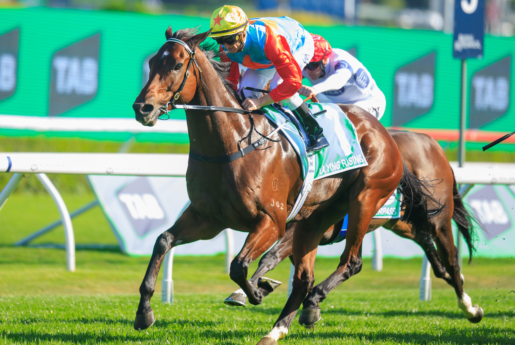 Hayes to intensify Ka Ying Rising’s preparation for the G1 The Everest ...