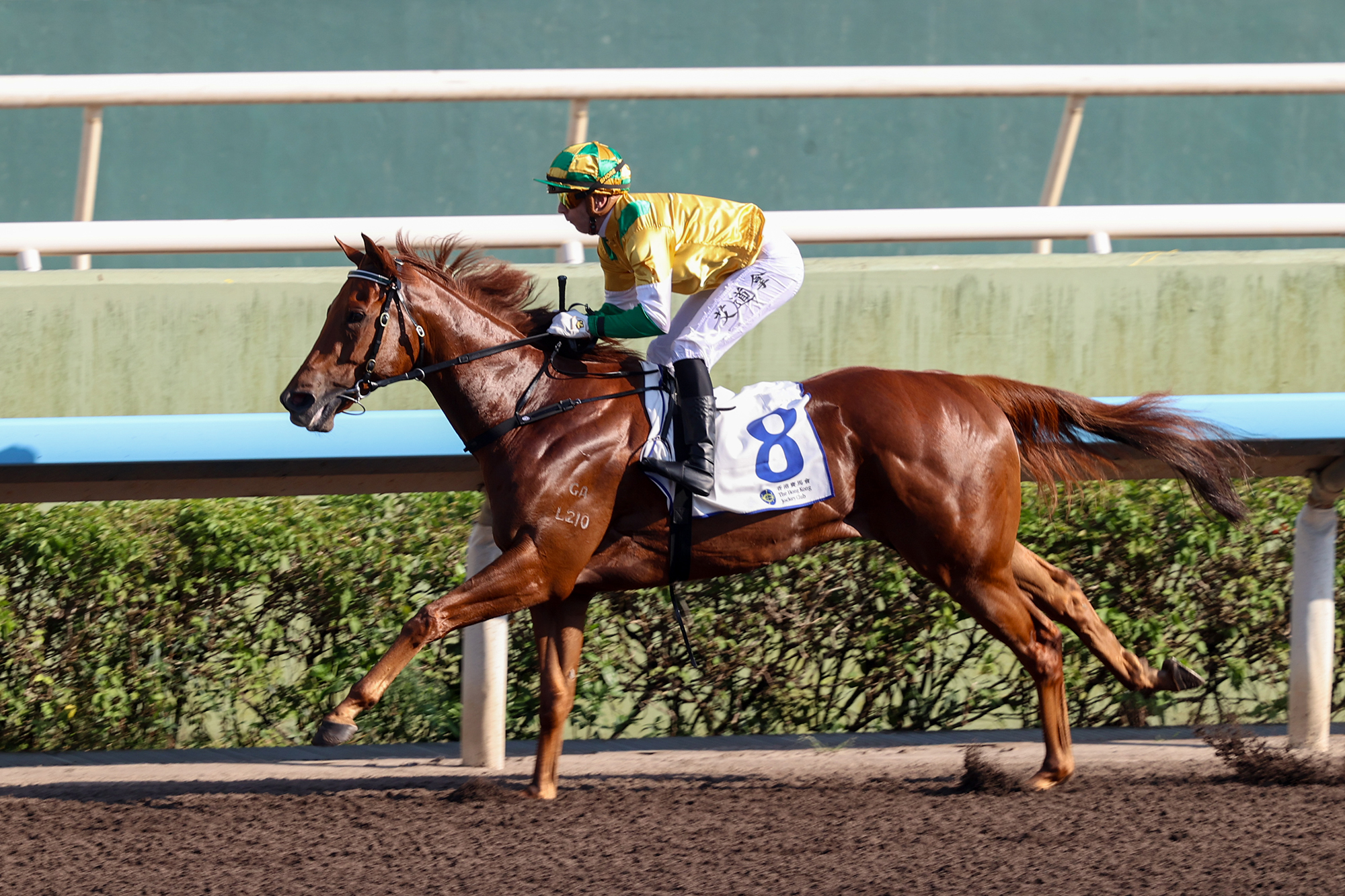 Avdulla confident Bustling City can complete hat-trick at Sha Tin ...