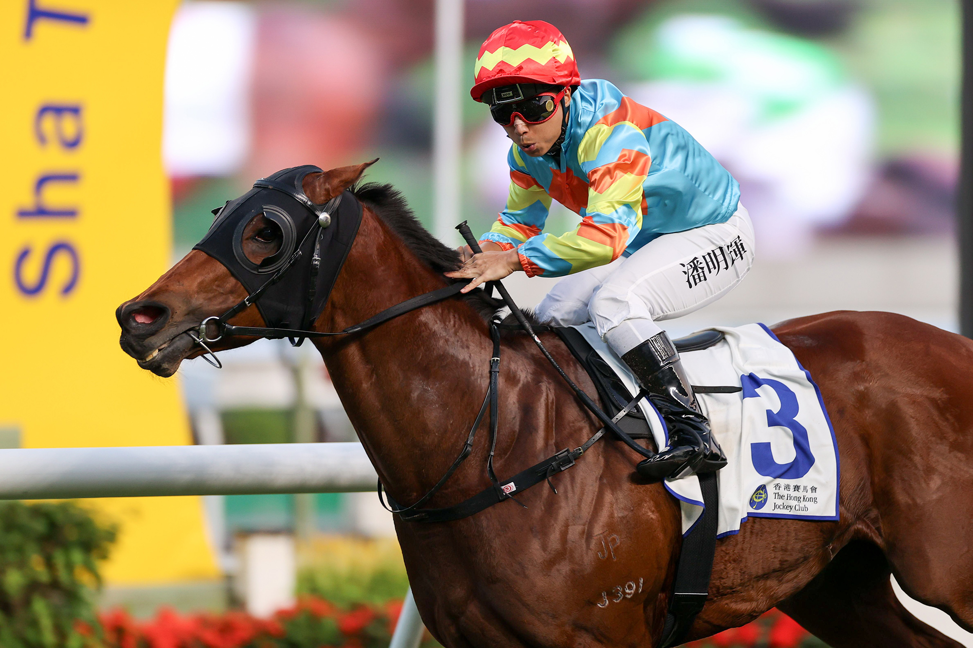 David Hall reaches 700-win milestone in Hong Kong – Racing News – The ...