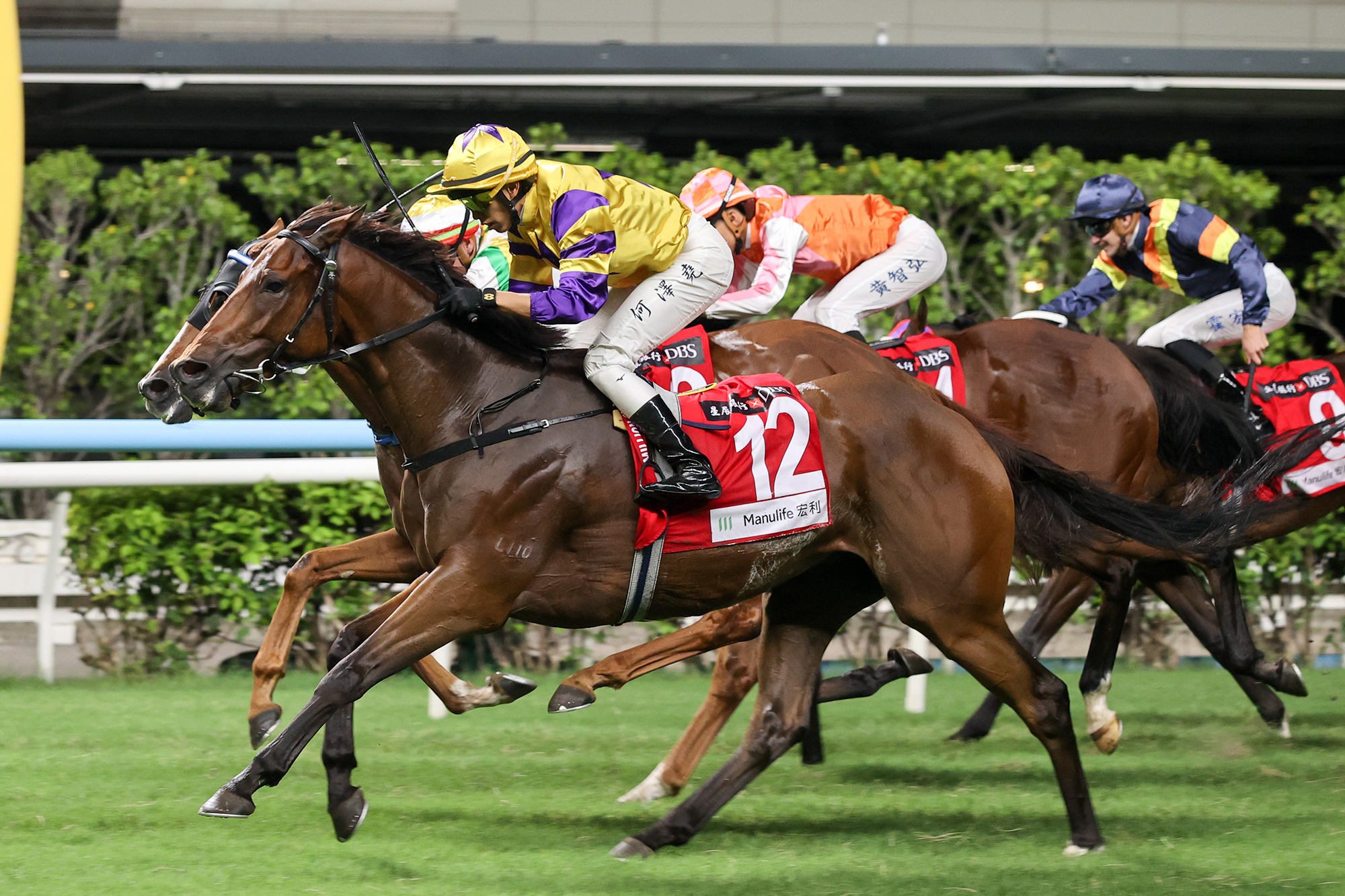 Helios Express steps up for Sha Tin Trophy, Le Zonda seeks fourth ...