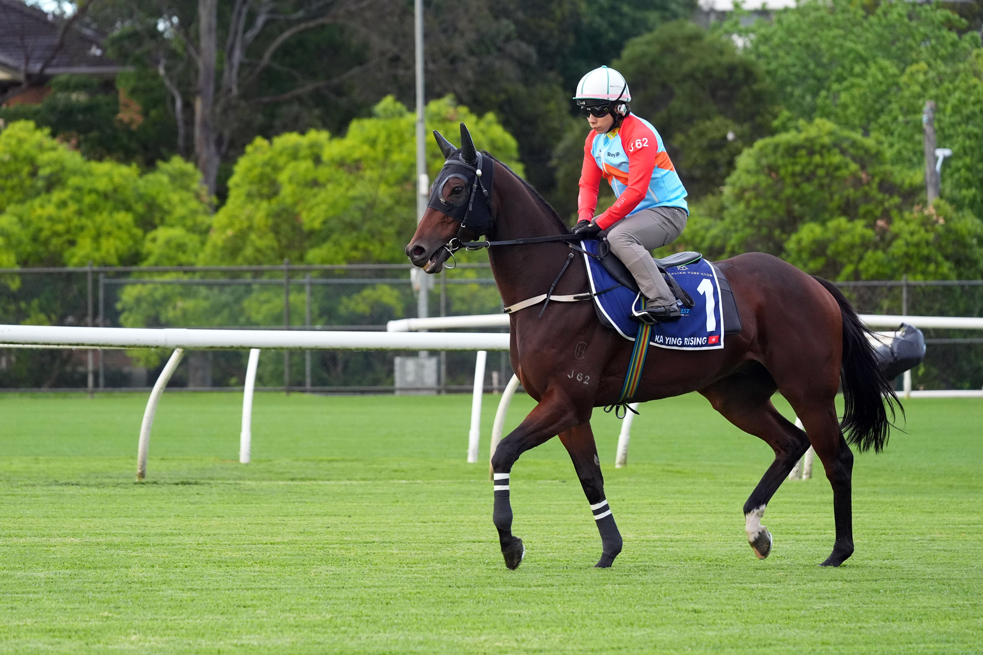 Ka Ying Rising works at Canterbury this morning. Ka Ying Rising works at Canterbury this morning.