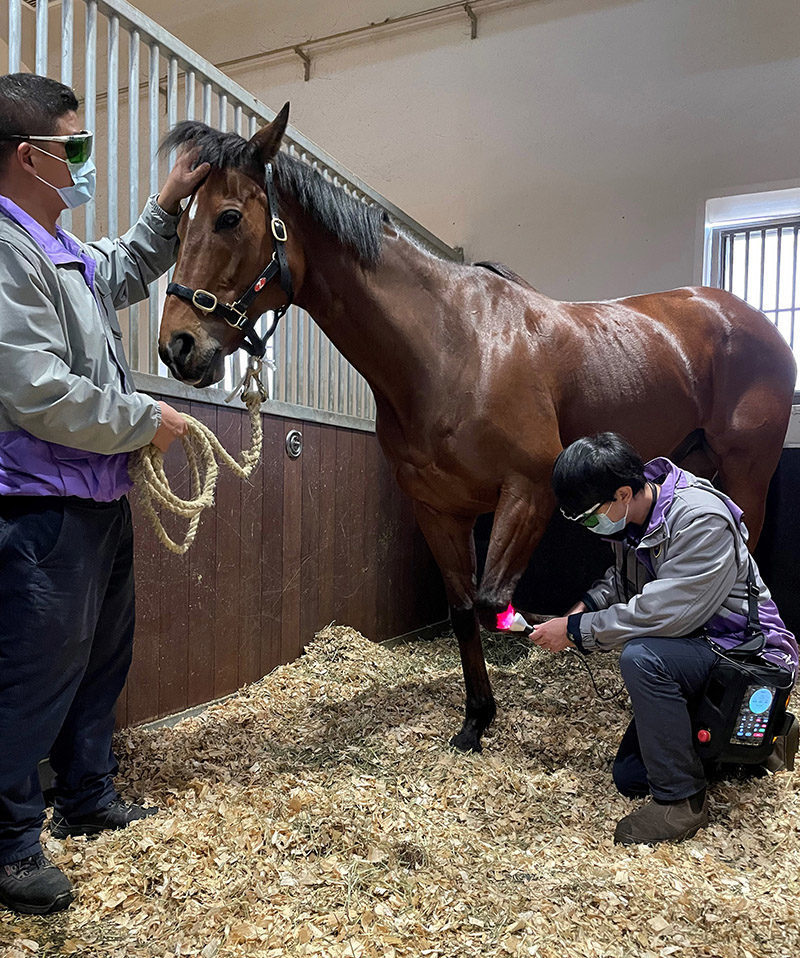 In betterment for equine health and welfare, the Hong Kong Jockey Club Equine Welfare Research Foundation is enthusiastic to see future outcomes from the research it supports translate into real improvements to the lives of horses.
